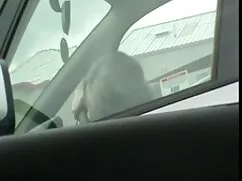 ドロシーは彼にベッドの上で長い間たわごと ...