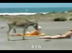 Vicky作るorgasmとの性機 エロ ...