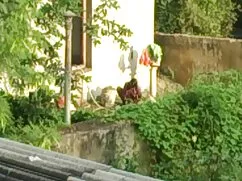 ローラはポルノの鋳造を吸い、その後兼a  ...