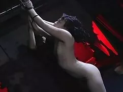 二つの厳密な女性スポーツの摩耗の乳液によ ...